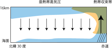 図6